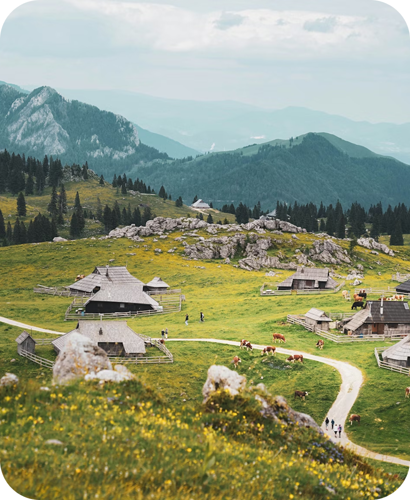velika planina